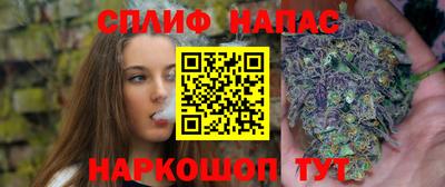 PSILOCYBIN Малоярославец