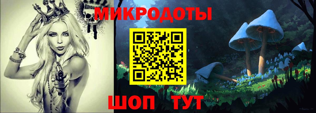 Псилоцибиновые грибы Cubensis Узловая