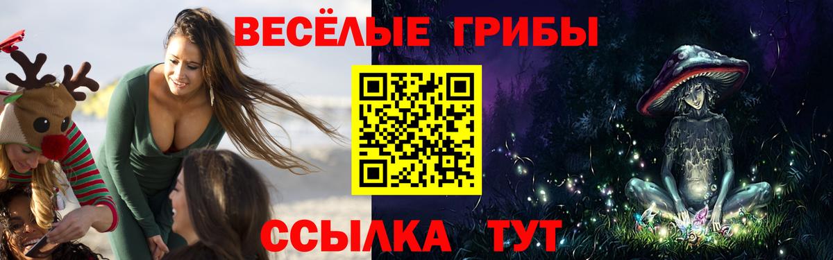 Псилоцибиновые грибы мицелий  Вход с VPN  Узловая 
